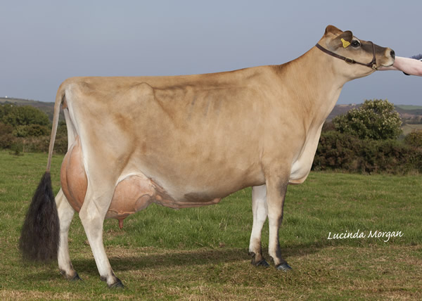  Quintrell PJSM Ultra Marine